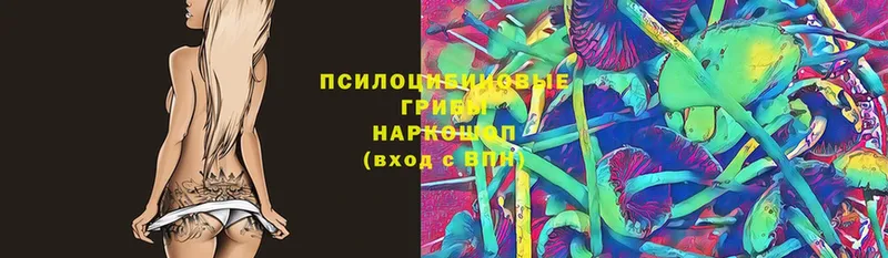 Галлюциногенные грибы Magic Shrooms  Белореченск 